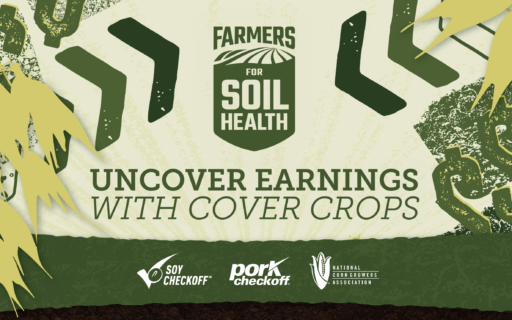 Farmers For Soil Health: Uncover Earnings with Cover Crops